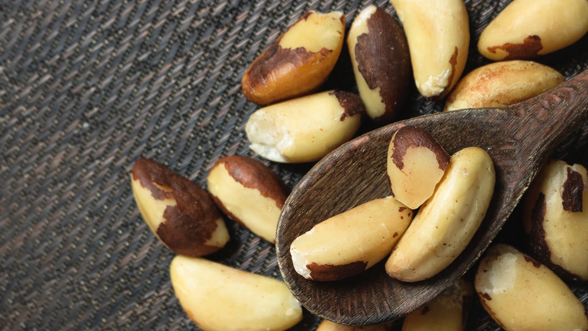 Castanha do Brasil e suas propriedades