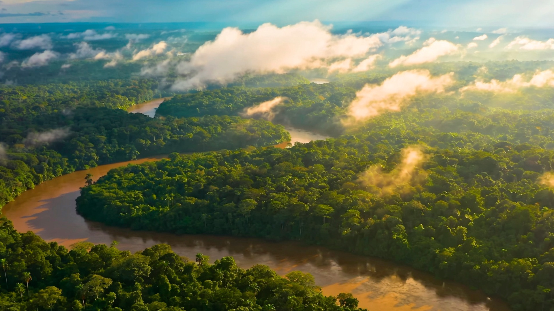 Amazônia: o maior bioma e sua importância para o planeta