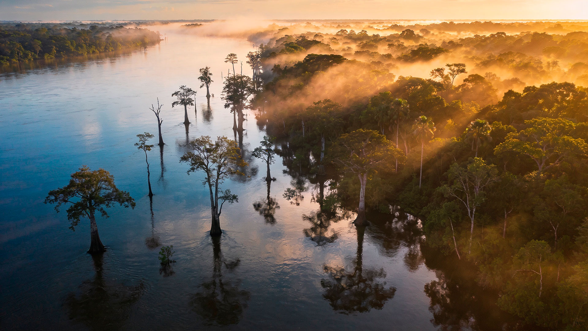 Muito além da floresta: os ecossistemas da Amazônia